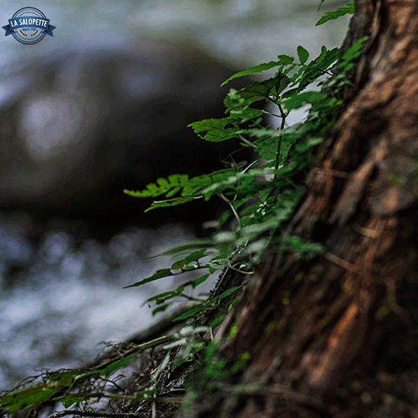 Salopette Nature